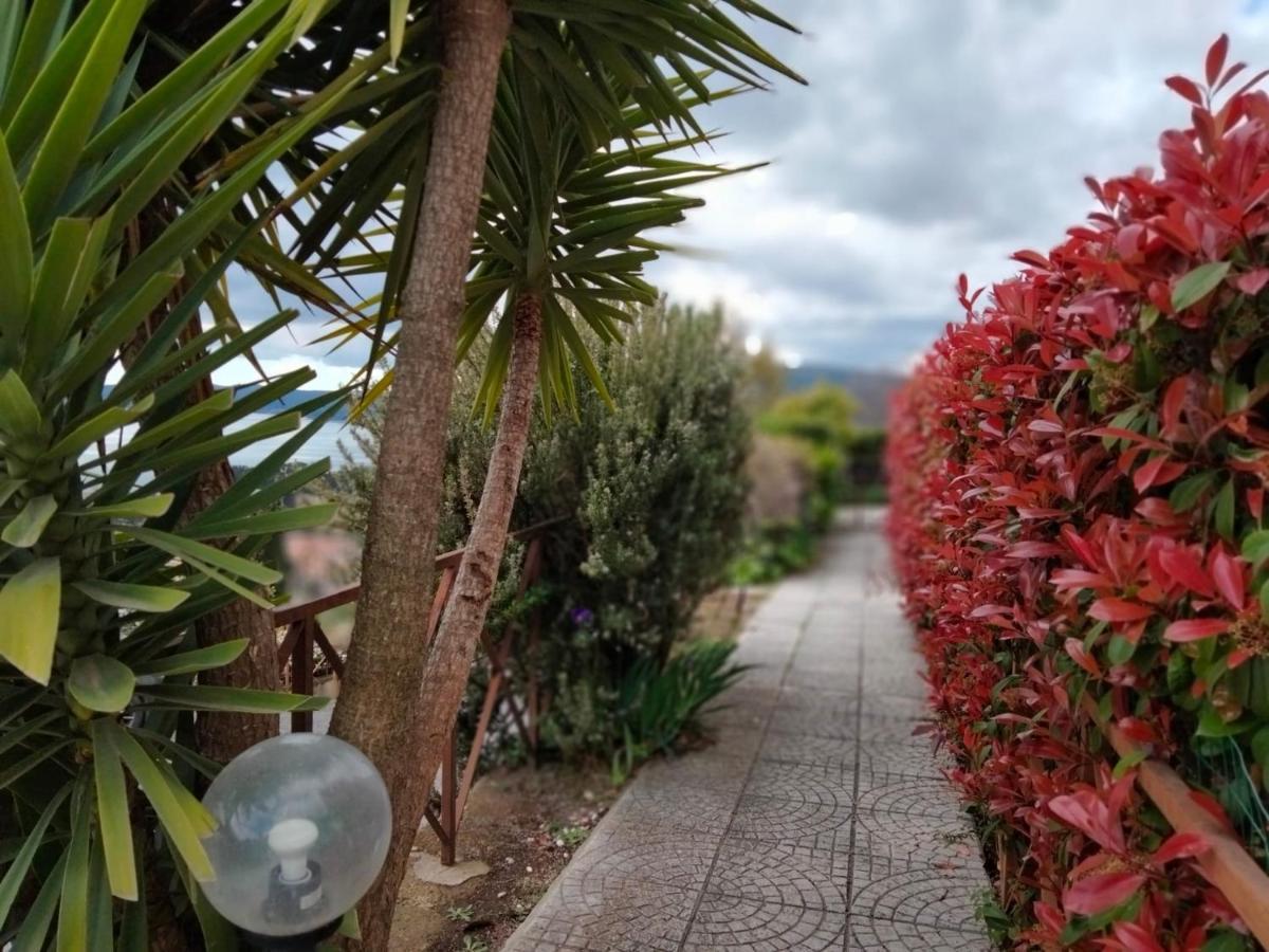 Sguardo Sul Lago Trevignano Romano Kültér fotó